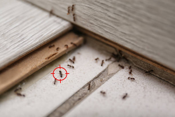 Pest Control for Restaurants in Highland, IN