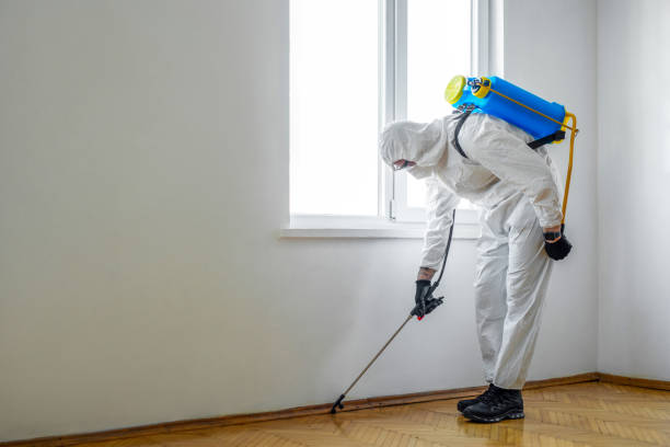 Best Commercial Pest Control Services  in Highland, IN