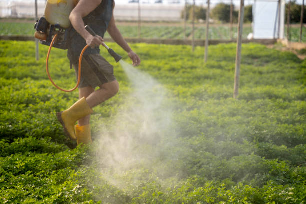Best Pest Prevention Services  in Highland, IN