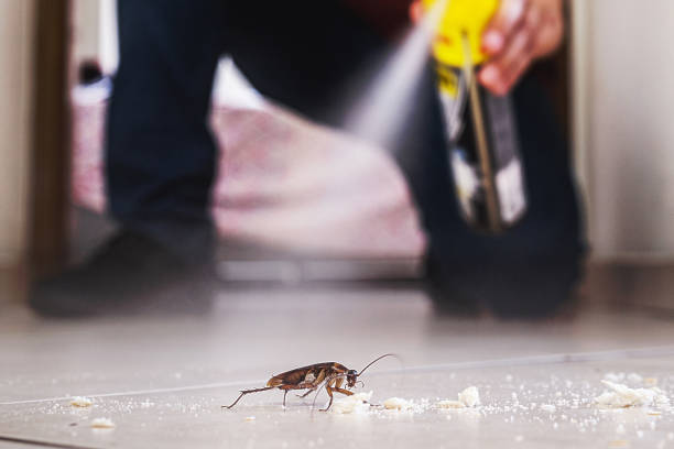 Trusted Highland, IN Pest Control Experts